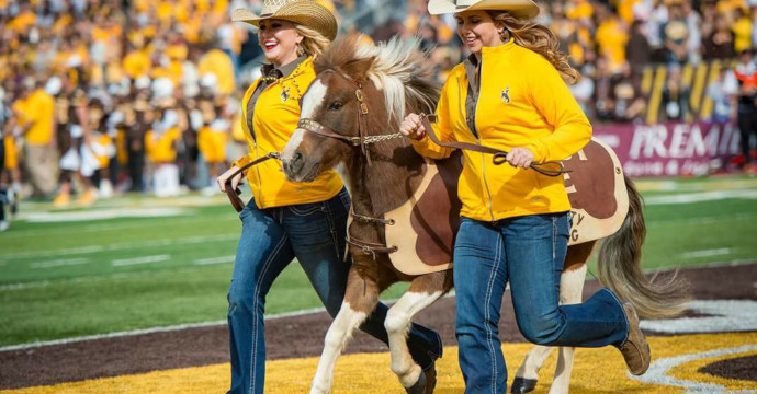 Running Joe. Tradiciones y Mascotas Wyoming Cowboys