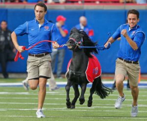 TRADICIONES Y MASCOTAS: SMU MUSTANGS