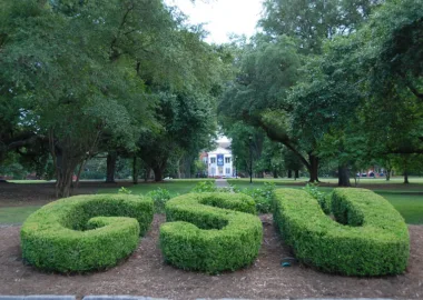 El seto de Georgia Southern University