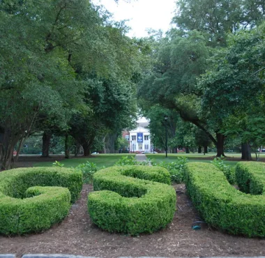 El seto de Georgia Southern University
